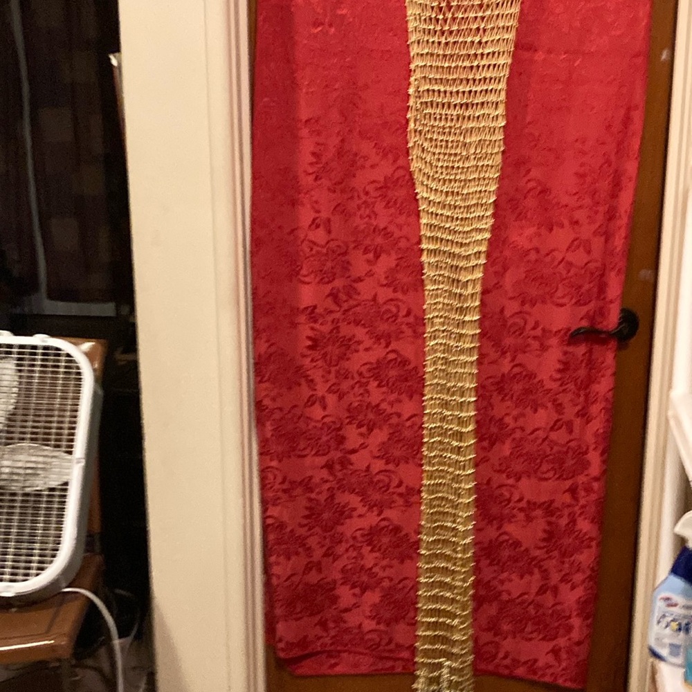 Gold Beaded  Fish Net Dress.. Open Back With Pearl Button!